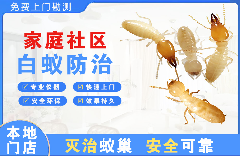高邮家庭社区白蚁防治