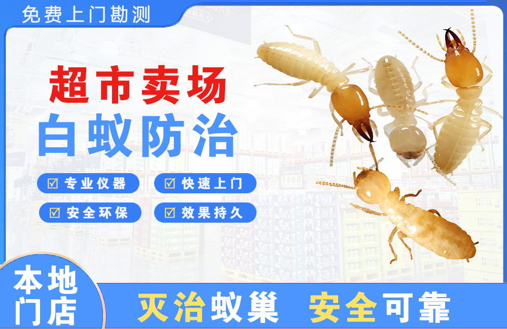 高邮超市卖场白蚁防治