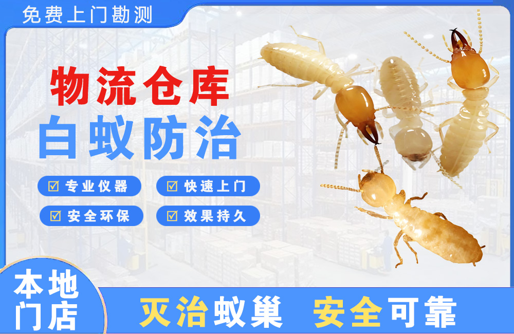 高邮物流仓库白蚁防治