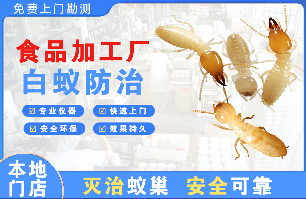 高邮食品加工厂白蚁防治