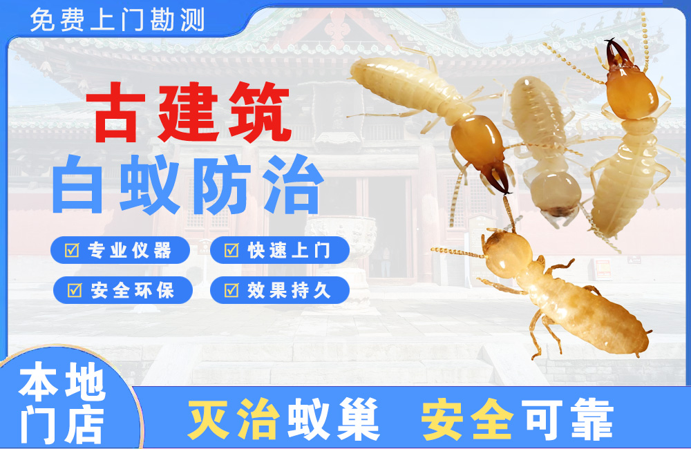 高邮古建筑白蚁防治