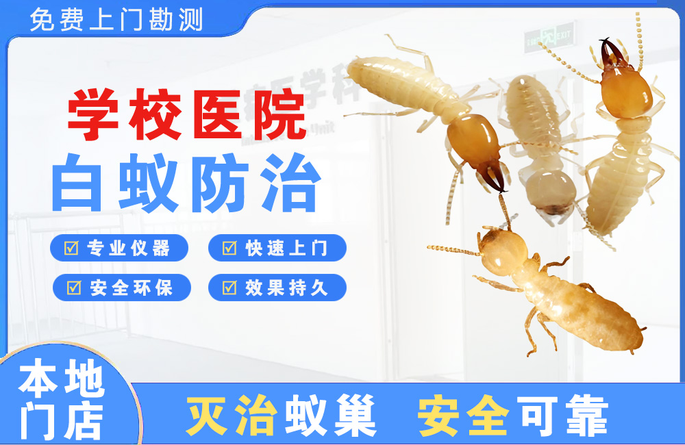高邮学校医院白蚁防治
