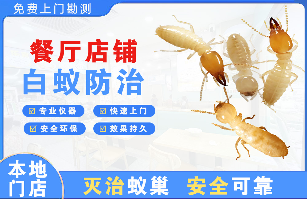 高邮餐厅店铺白蚁防治